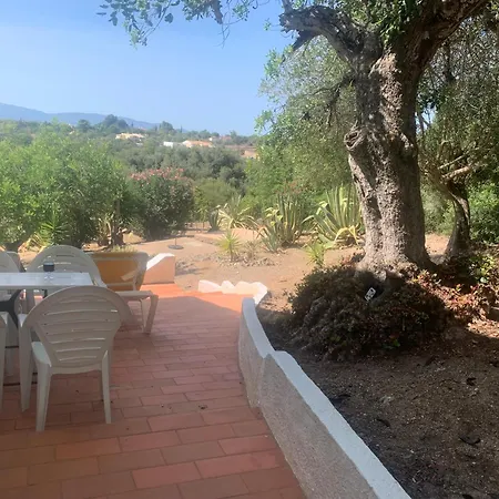 Holiday home Algarve Casa Alfarrobeira Benagil Caves Private Parking Airco Heated Private Pool - Al *