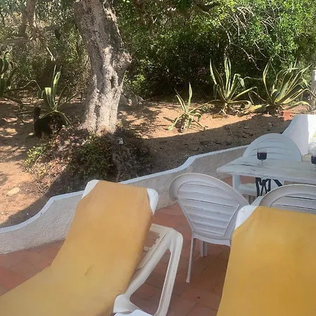 Algarve Casa Alfarrobeira Benagil Caves Private Parking Airco Heated Private Pool - Al Vakantiehuis